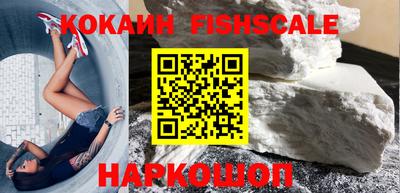 стаф Кингисепп