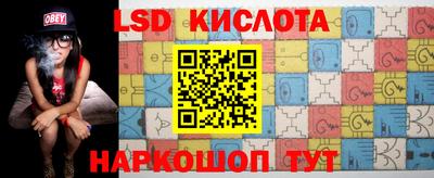 стаф Кингисепп