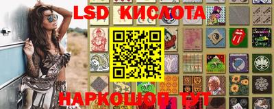 стаф Кингисепп