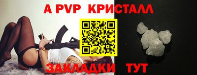 стаф Кингисепп
