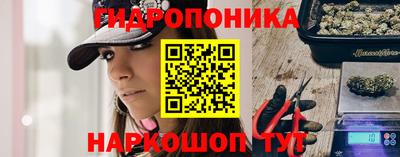 Альфа ПВП Кинель
