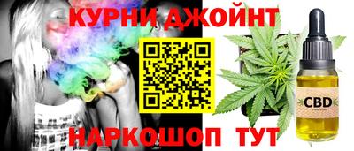 стаф Кингисепп