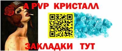 стаф Кингисепп