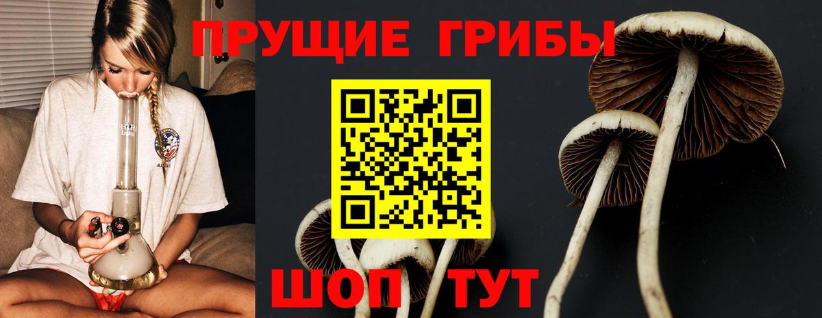 Бирск  Галлюциногенные грибы Cubensis  Вход с VPN 