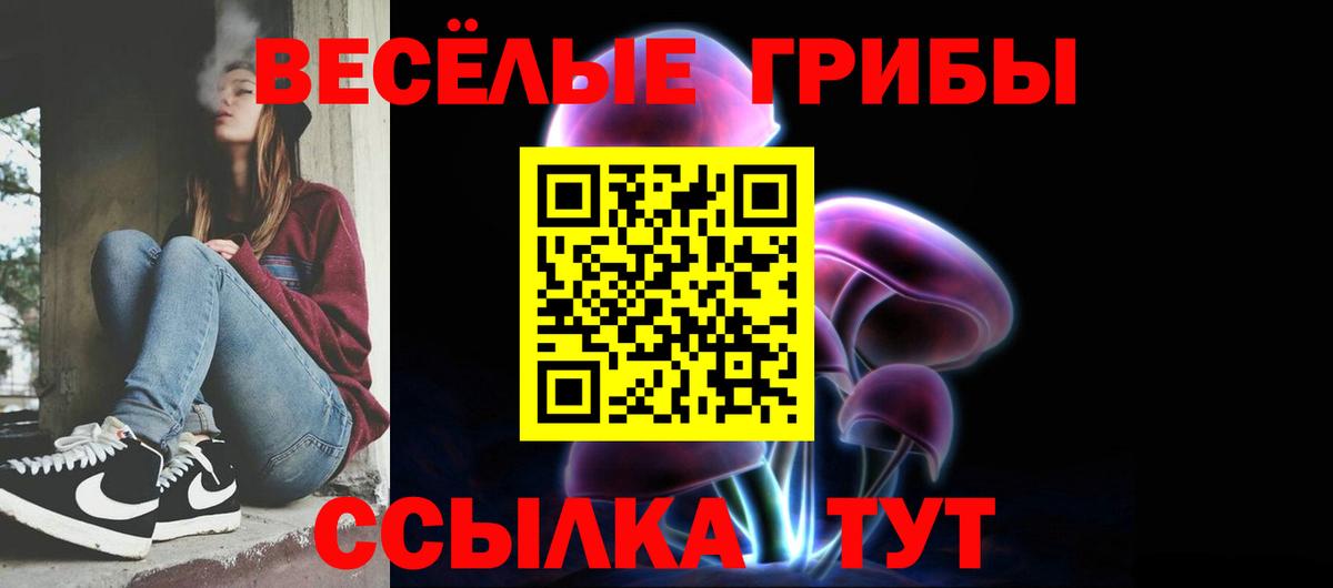 Галлюциногенные грибы Psilocybine cubensis Бирск